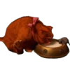 SHREK 22