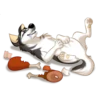 Huscai the Husky 25