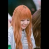lalisa 16