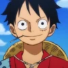 Monkey D Luffy 19