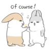 A few rabbits 23