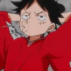 Monkey D Luffy 20