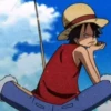 Monkey D Luffy 22
