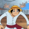 Monkey D Luffy 23