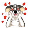 Huscai the Husky 26