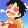 Monkey D Luffy 24