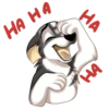 Huscai the Husky 27