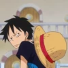 Monkey D Luffy 25
