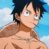 Monkey D Luffy 26