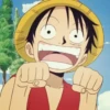 Monkey D Luffy 27