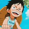 Monkey D Luffy 29