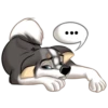 Huscai the Husky 29