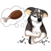 Huscai the Husky 30