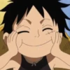 Monkey D Luffy 30