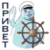 Friendly Seal 6