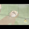 tokrev low quality 9
