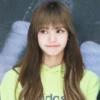 Lisa 6