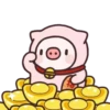 Pig 12