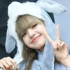 Lisa 8