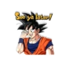 Goku 13