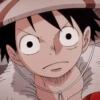 Monkey D. Luffy 8