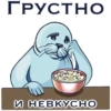Friendly Seal 14