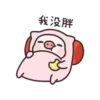 Pig 14