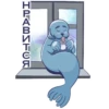 Friendly Seal 16