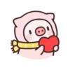 Pig 15