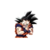 Goku 16