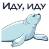 Friendly Seal 20