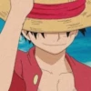 Monkey D. Luffy 14