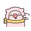 Pig 19