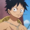 Monkey D. Luffy 16