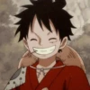 Monkey D. Luffy 18