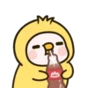 Pig 20