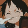 Monkey D. Luffy 25