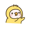Pig 26