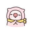 Pig 27