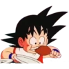 Goku 27