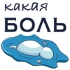 Friendly Seal 26