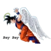 Goku 29