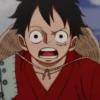 Monkey D. Luffy 27