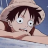 Monkey D. Luffy 28
