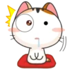 Japanese Kitty 6