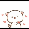 cute mochi cat 5