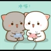cute mochi cat 6