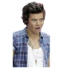Harry styles curley master 5