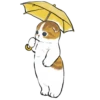 mofu_cats 7