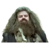 Harry Potter 8